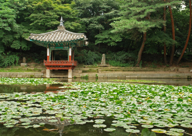 Yeouido Park - Atracciones de Seoul